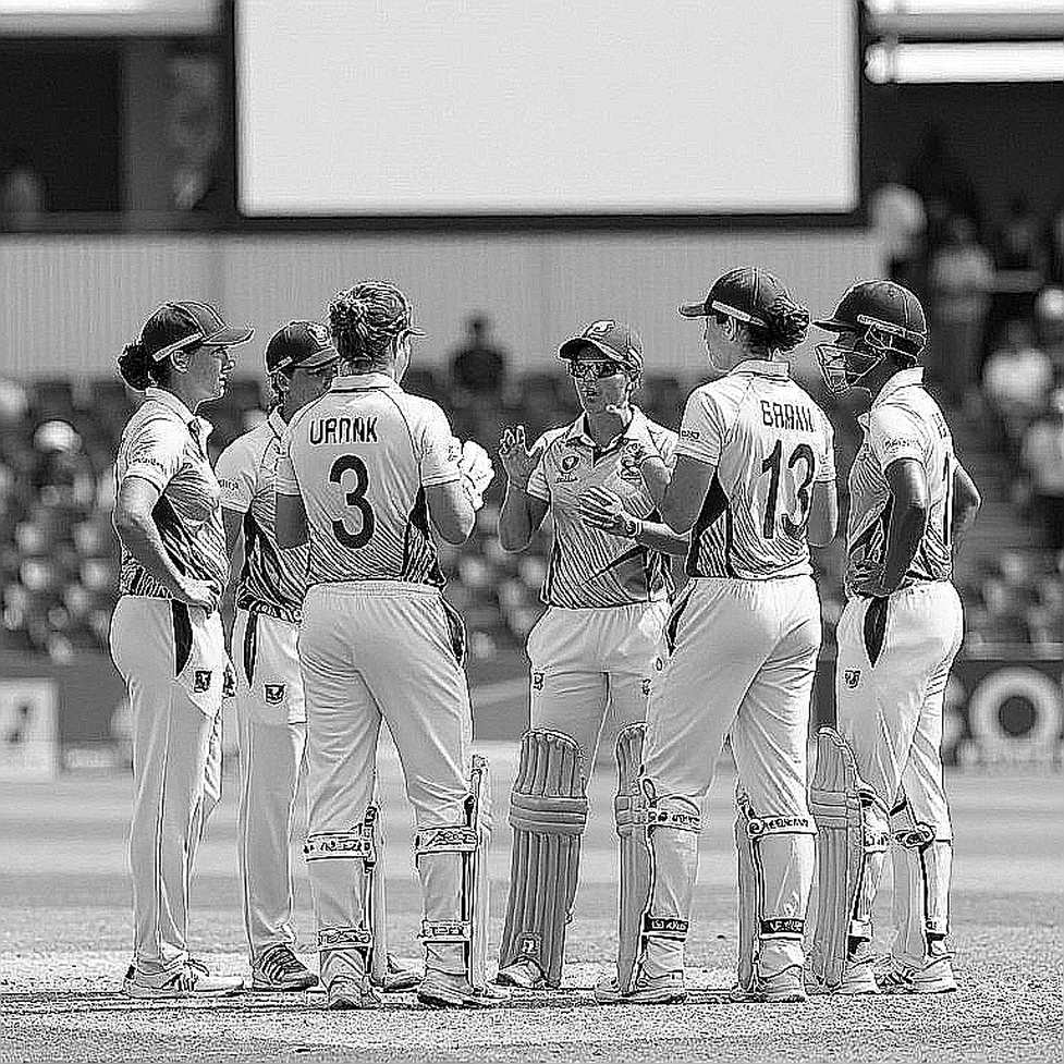 Cricket's Chain vs Cricket's Market: A Data Audit Cricket's Chain vs Cricket's Market: A Data Audit