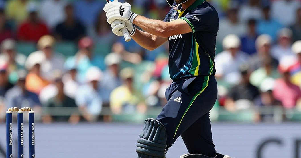 The Pitch's Tempo, the On-Chain Ledger: Cricket's Two Metronomes The Pitch's Tempo, the On-Chain Ledger: Cricket's Two Metronomes